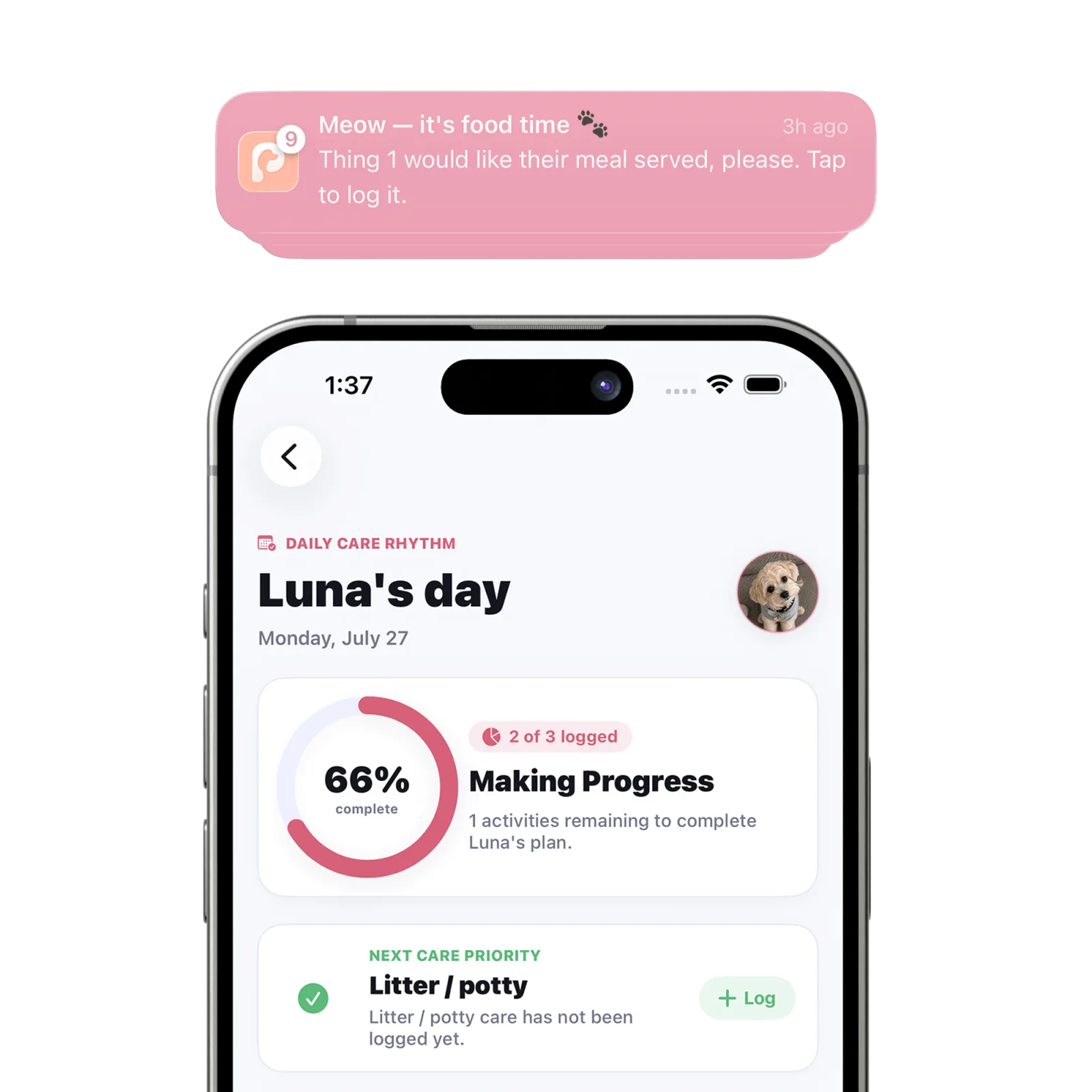 Petive pet care reminder notification above an iPhone daily care screen
