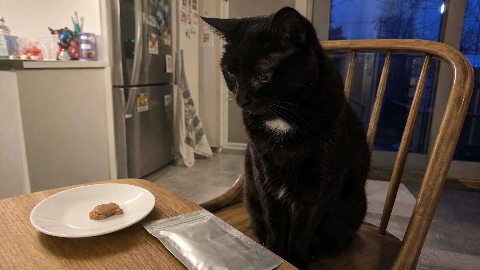 An older black cat watching an untouched soft treat beside a closed medication pouch in a family kitchen